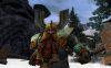 Warhammer Online - 29